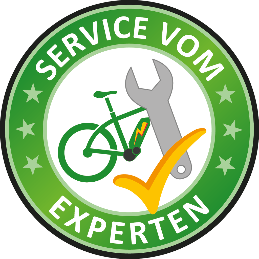 Service für Pedelecs vom Experten in Ihrer Nähe in der e-motion e-Bike Welt Berlin-Mitte