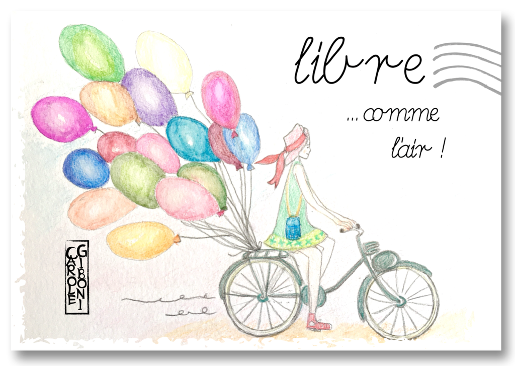 Libre comme l'Air PA13