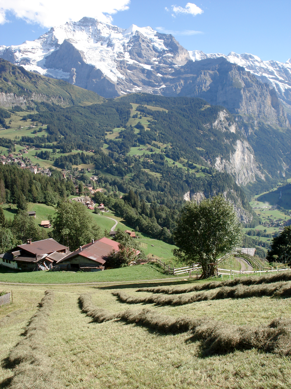 beim Heuen