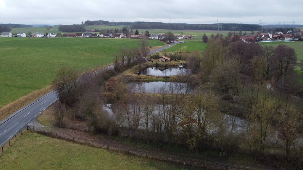 Die Teiche im Dezember 2023