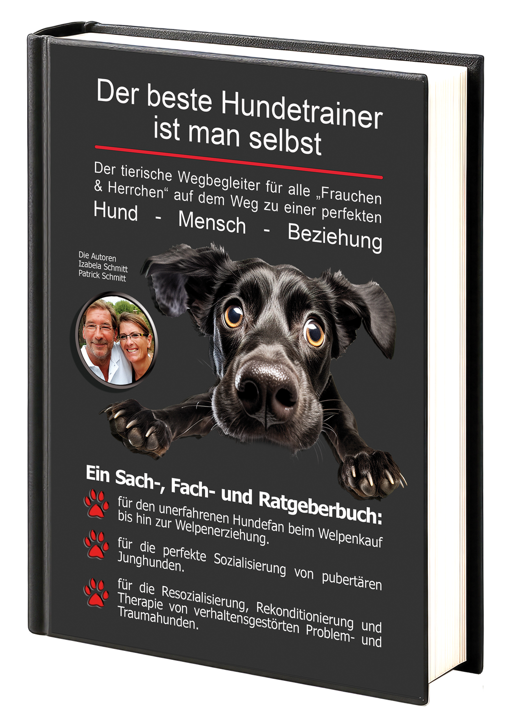 Hundeschule, Hundetrainer, Hundeerziehung, Welpenschule, Hundetherapeut, Hundetherapie, Hundetraining
