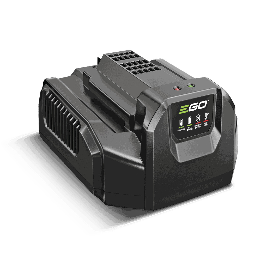 CH2100 E Standardladegerät