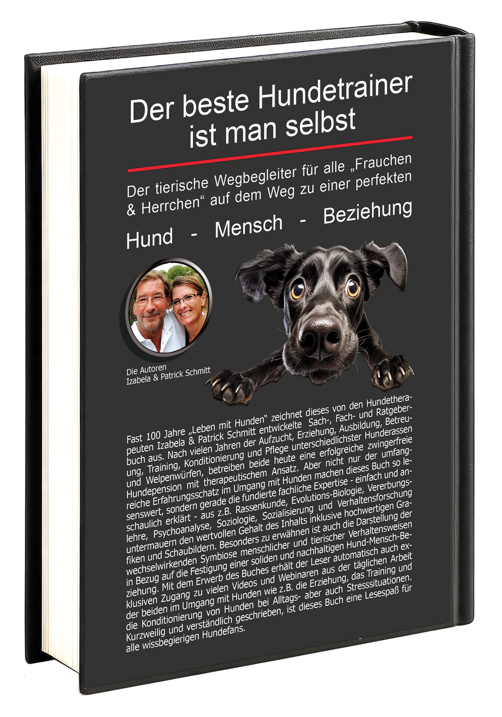 HUNDEERZIEHUNG HUNDE ERZIEHEN HUNDETRAINER HUNDESCHULEN