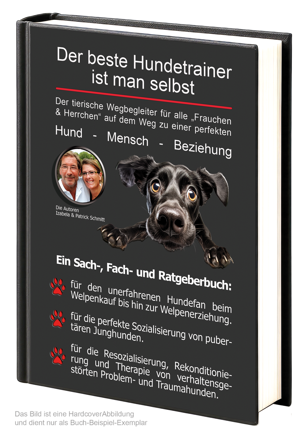 HUNDEERZIEHUNG HUNDE ERZIEHEN HUNDETRAINER HUNDESCHULEN