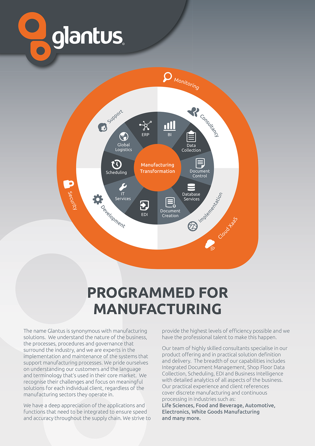 Tech industry leaflet design