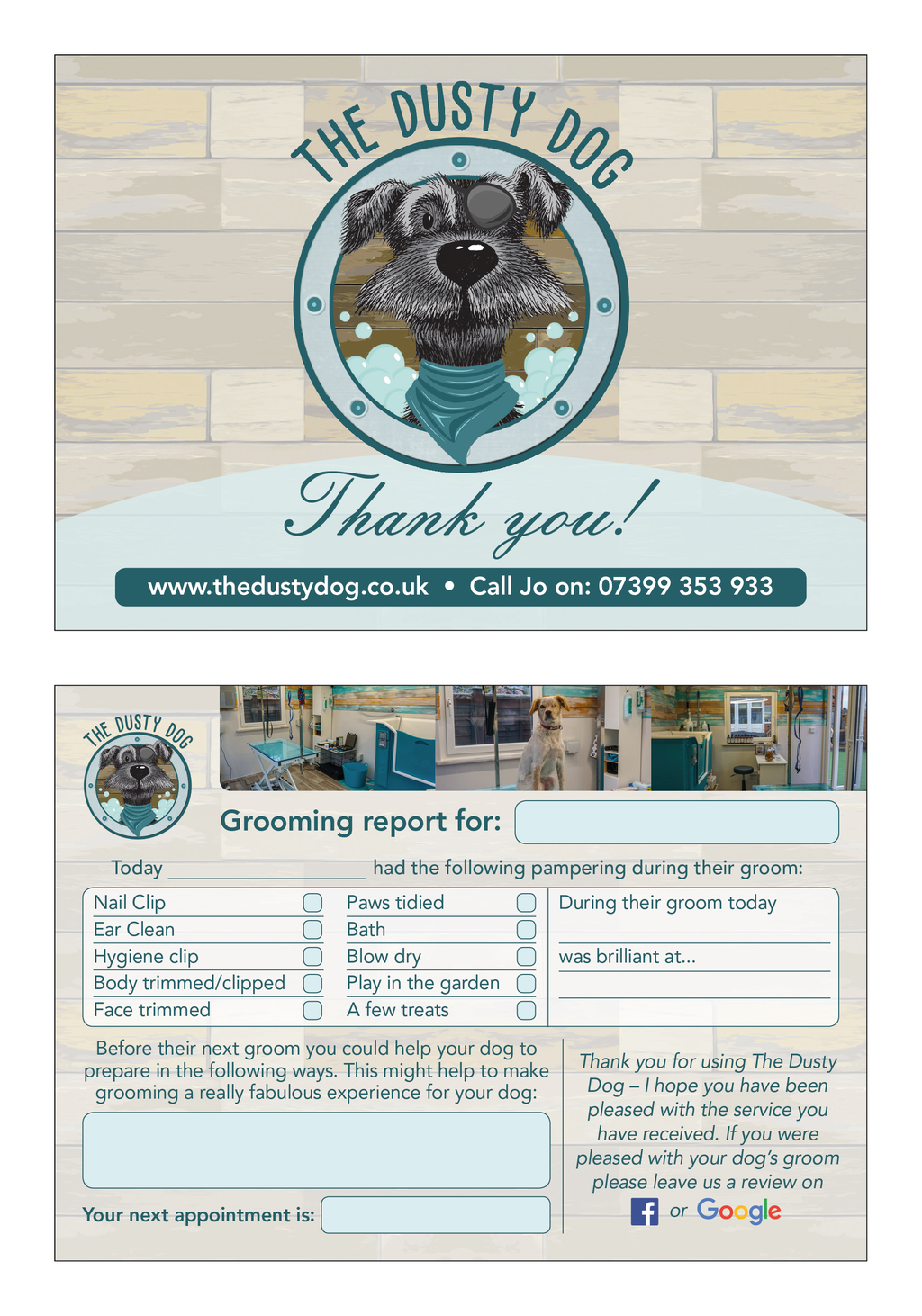 Pet grooming business flyer design