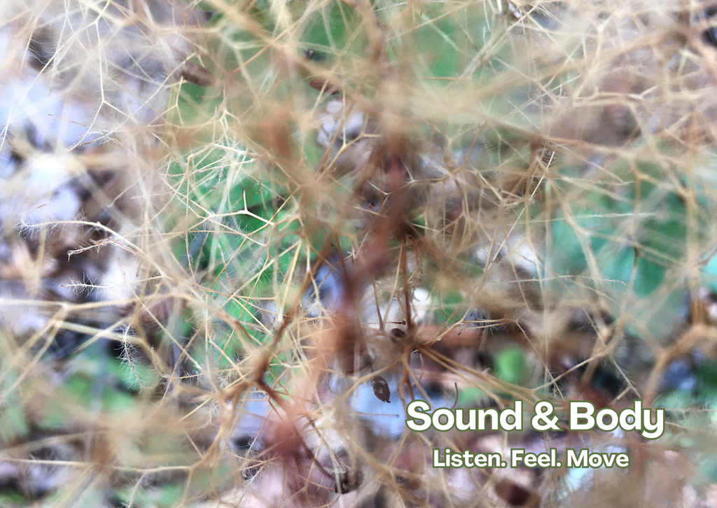 Body & Sound