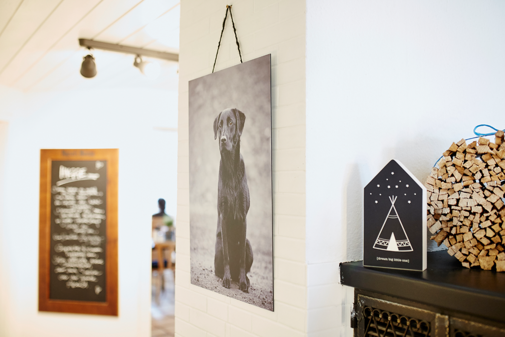 Tierfotograf Hundefotograf Pferdefotograf Fotostudio Lörrach Rheinfelden Freiburg Bad Säckingen Laufenburg Weil am Rhein Basel Bern Zürich