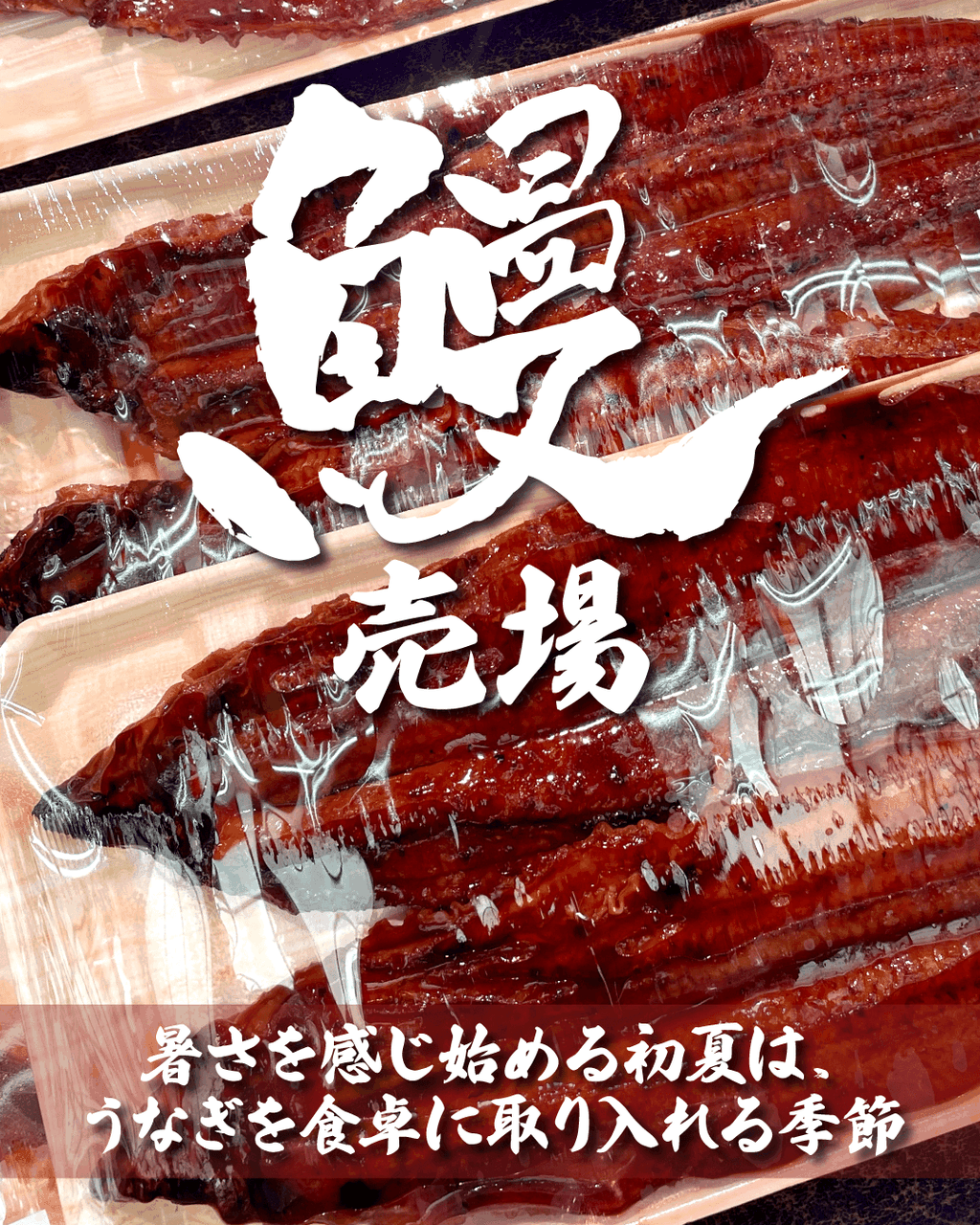 初夏はうなぎで元気チャージ
