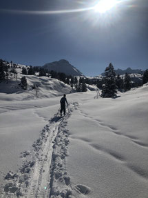 Sonne pur-unberührte Landschaft-glitzernder Schnee