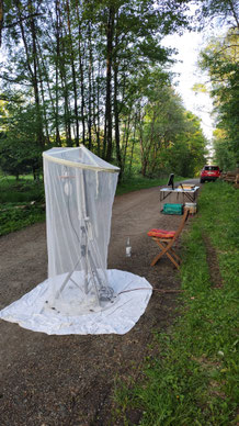 Foto: Rainer Roth