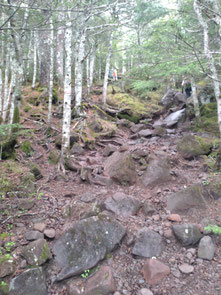 先を行く登山者の姿に絶望を感じつつ