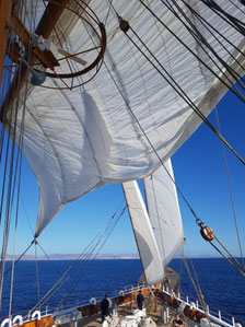 SEA CLOUD Reisebericht & Erfahrungen