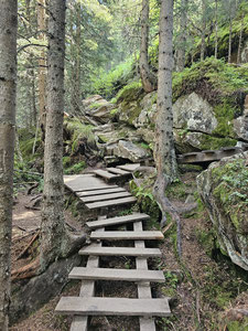 Mooie wandelroutes in het Stubaidal, de Oostenrijkse Alpen. Wildewasserweg