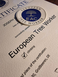 European Treeworker, nach FLL zertifizierter Baumkontrolleur, Geschäftsführer Joseph Sambale