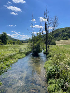 Trubach bei Äpfelbach Foto © Nicolai Hämmerle