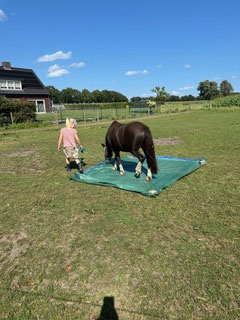 kindercoaching Helmond