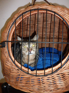 Mausi / Foto: Oetken
