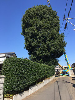 水戸市千波町　解体工事