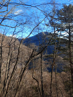 樹林帯越しに昨秋登った滝子山が見えます