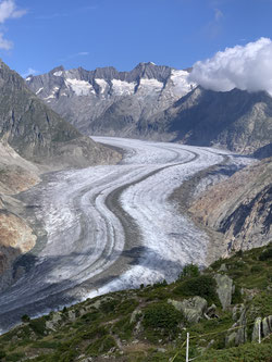 Der grosse Aletschgletscher das Herzstück der Aletsch Arena.