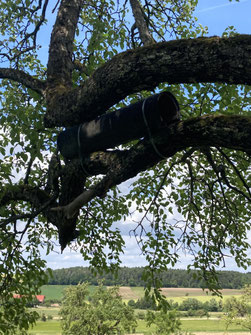 Foto: Reiner Brückner