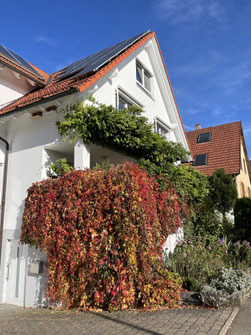 Foto: NABU/HP. Kuhlmann