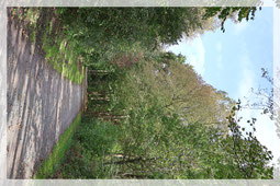 Stille Radwege bei Schloss Eulenbroich