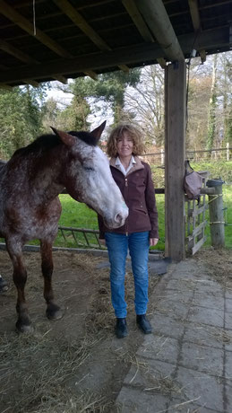 Picture of the horse hidalgo showing the heart felt connection to his owner
