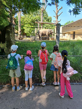Fünf Kinder stehen vor dem Elefantengehege.