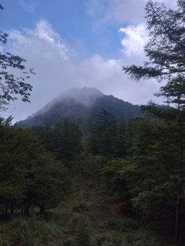 雲をかぶって貫禄十分（笠取山への急登）