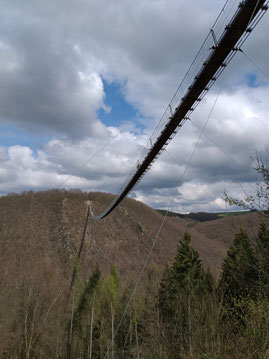 Geierlay Hängebrücke