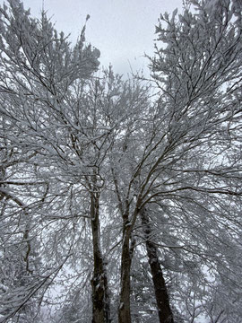 雪景色