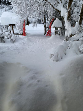 積雪70㎝越え