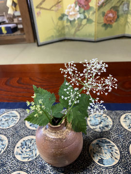 かすみ草のような・・・