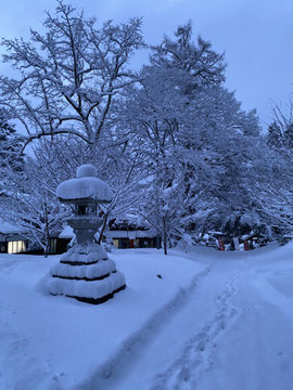 2月後半の大雪