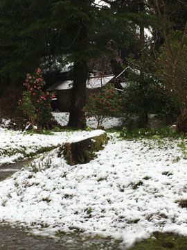 4月13日の雪景色