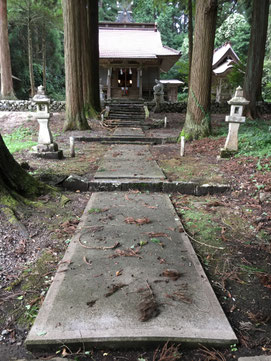折れ枝が散乱した境内