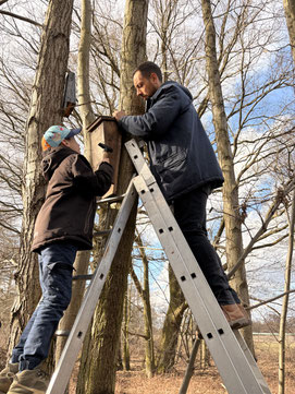 Paul und der achtjährige Gustav hängen einen Fledermauskasten auf.