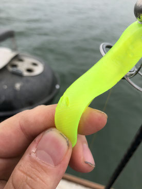Hecht, Egli, Barsch, Zander, Pike, Esox, Murtensee, Angeln, Fischen, Fischerboot, Seeland, Esox, Perche