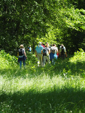 Unterwegs entlang der Gronach, Foto: Sophie Wiggenhauser