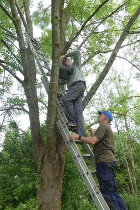 Foto: NABU/E. Seidel, 2025
