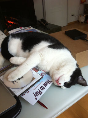 Bild eve-on