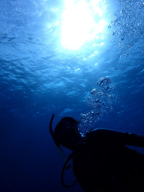 石垣島でのんびりダイビング「東海岸ブルー」ヒートハートクラブ