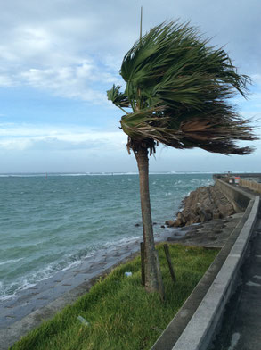 台風11号（ポードル）
