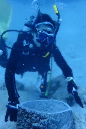 石垣島でのんびりダイビング「海底温泉」ヒートハートクラブ