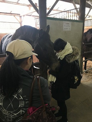 馬と仲良くできる場所