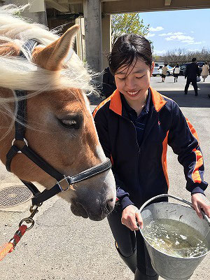 柏南高校馬術部紹介