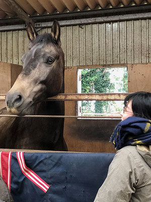 馬と話し合え、耳を傾けろ