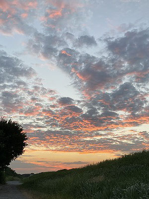 夕焼け雲